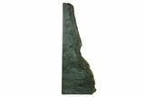 Tall, Polished Jade (Nephrite) Section - British Columbia #200452-1